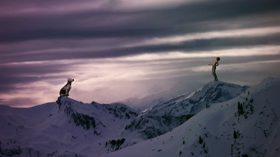 Dogs And Mountains Final