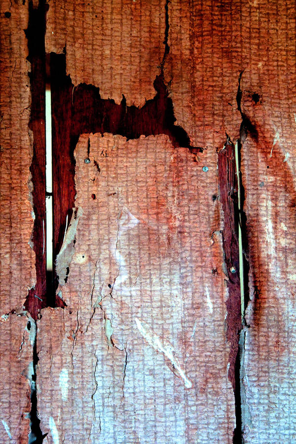 Local Texture: Rip-Torn by Beyond-Oddities