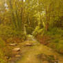 Water Stream