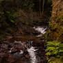 Magical Place 1