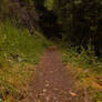 Magical Place 5