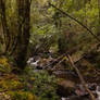 Magical Place 6