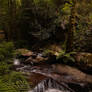 Magical Place 8