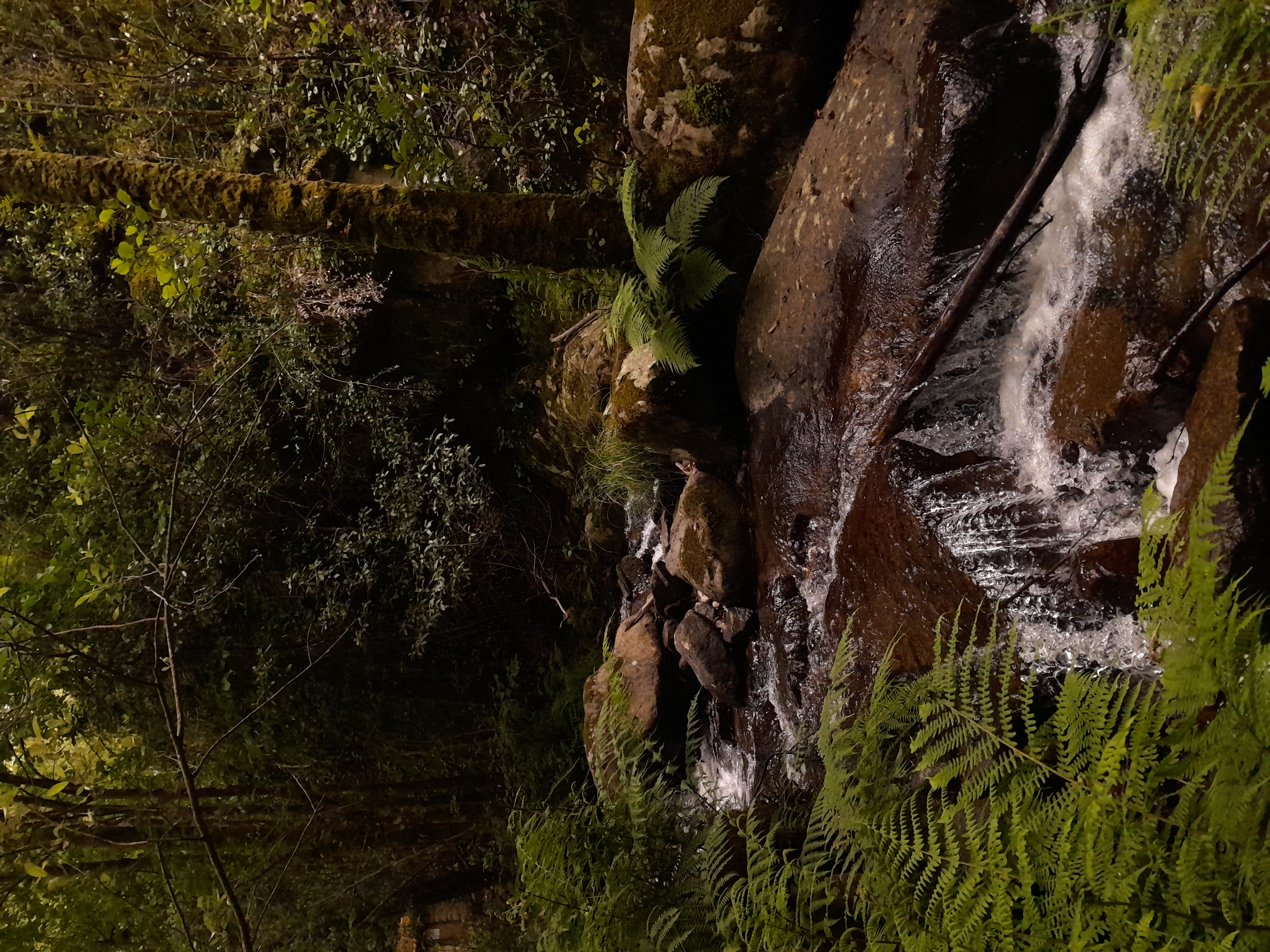 Magical Place 8