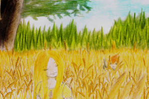 cornfield