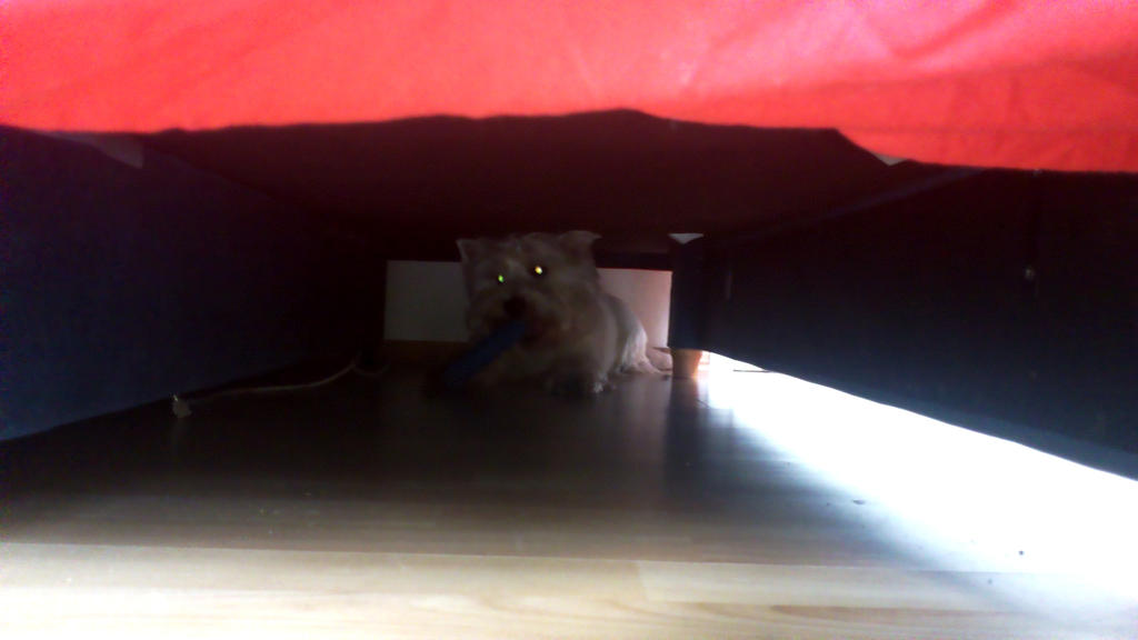 Monster Under My Bed By Lokitsune On Deviantart Monster Under My Bed By Lokitsune On Deviantart