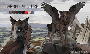 [CLOSED] Adoptable character | VULTURE