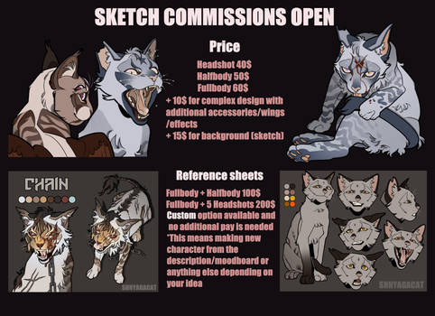 SKETCH COMMISSIONS|OPEN