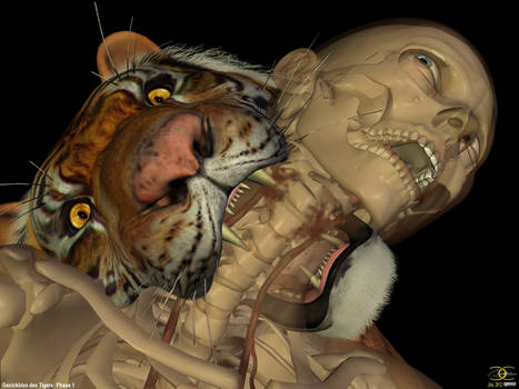 Neck bite of a Tiger: Phase 1
