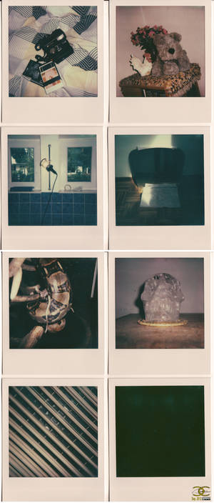 Polaroid resurrection-01