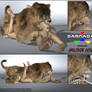 DAMNADAS - Smilodon fatalis