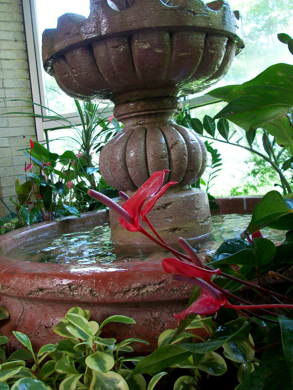 Red Fountain.