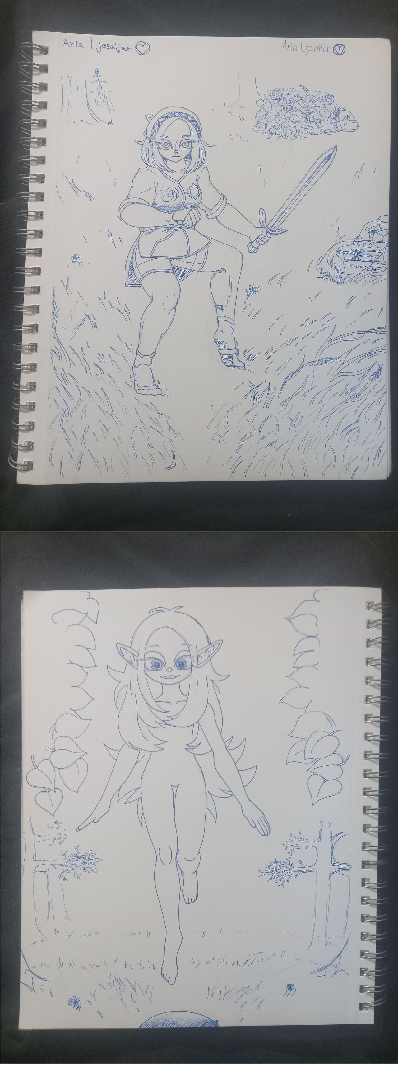 Aria and the Light Elf