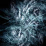 Chaos