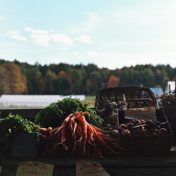 Vegetables for sale