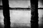 Uncomfortable silences by j-vdb