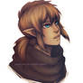 zelda u link -- colour