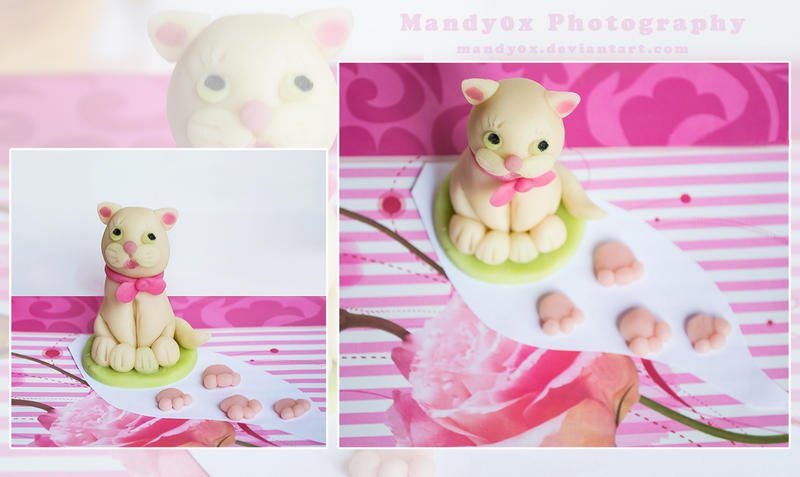 marzipan cat