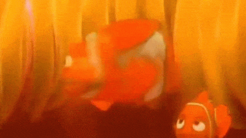 Fish Having A Rave Clownfish Rave Party by LinzoReborn on DeviantArt