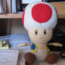 Toad sitting on my desk