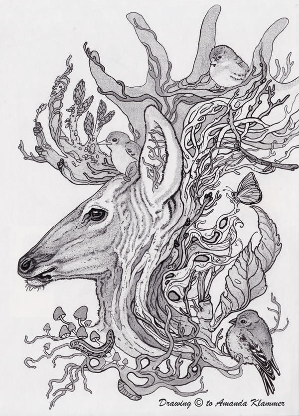 Cool Ecosystem Drawing Forest