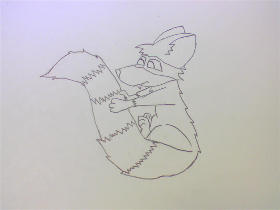 Raccons best friend by CDRaccoon on DeviantArt