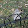 Hanging out In St James Park