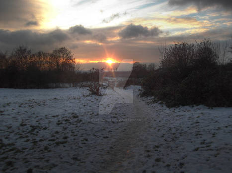 Winterscape - The Meadow - HDR