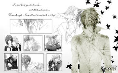 Zero - Vampire Knight