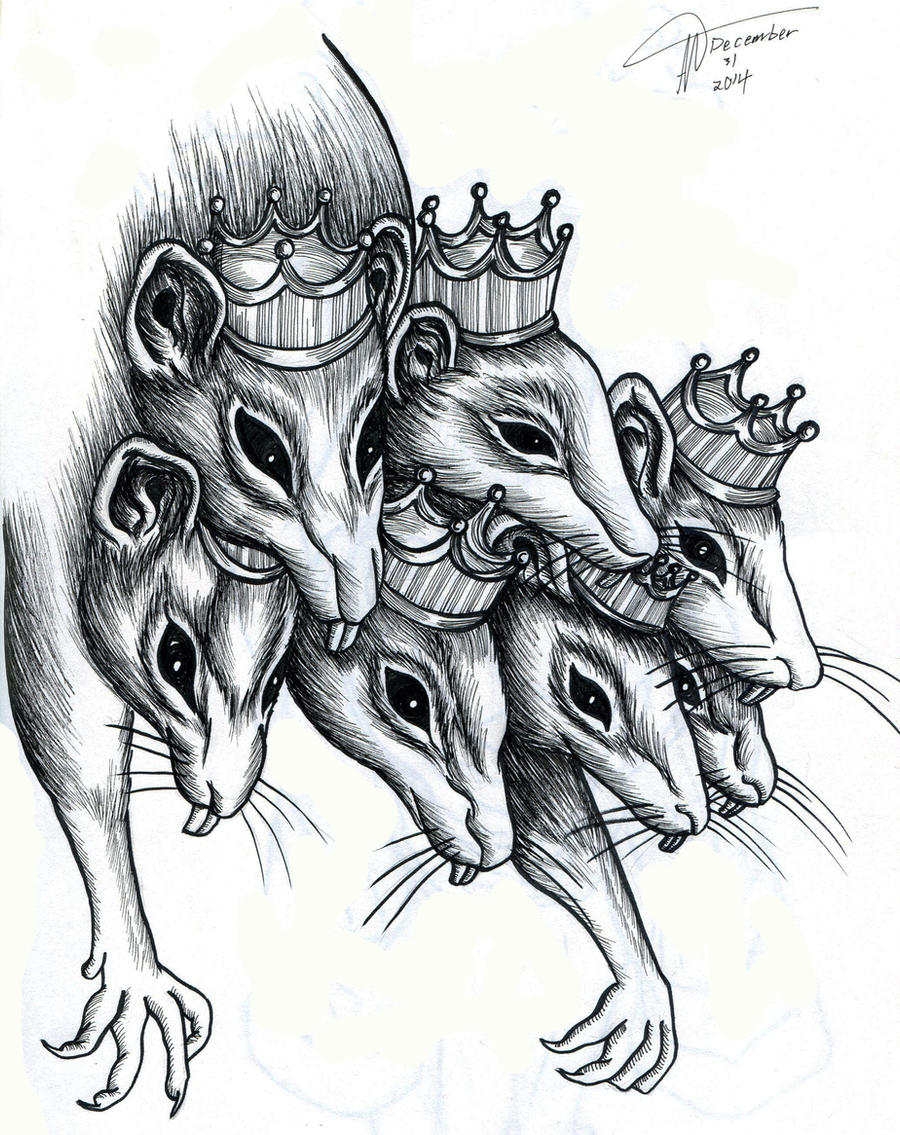 Rat king by Muns11 on DeviantArt