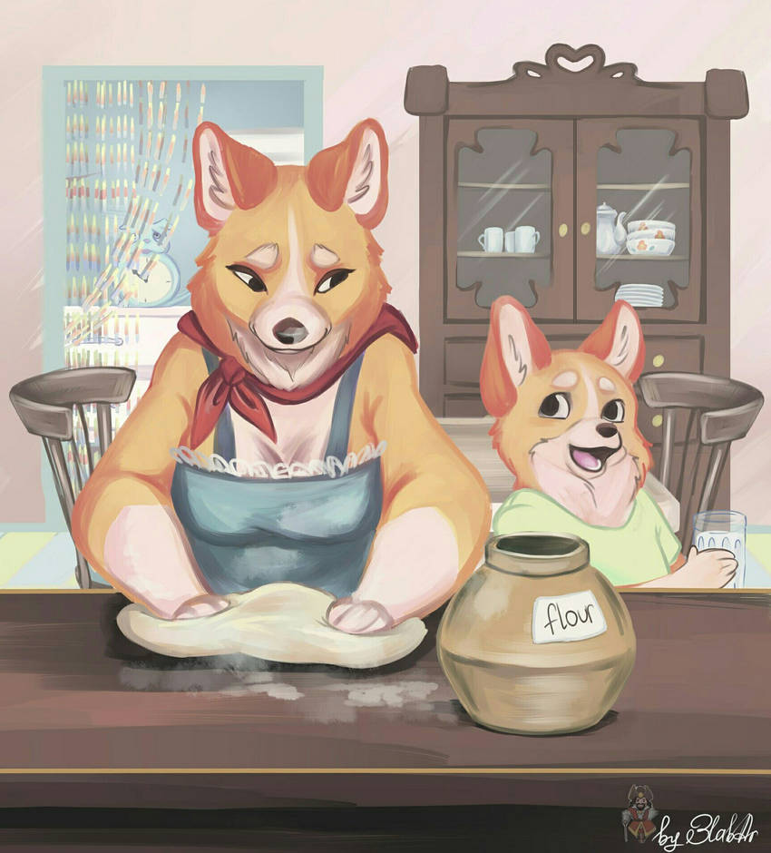 Вельш корги фурри