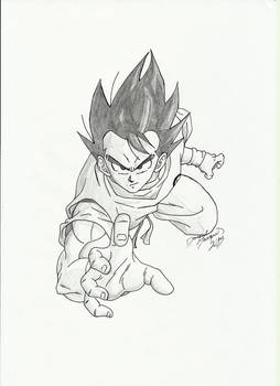 Son Goku