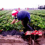 Young woman working