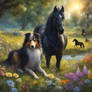Collie Dog and Pregnant Mare