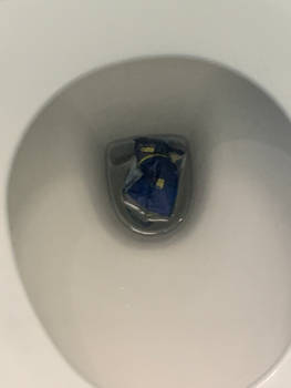 WHY????