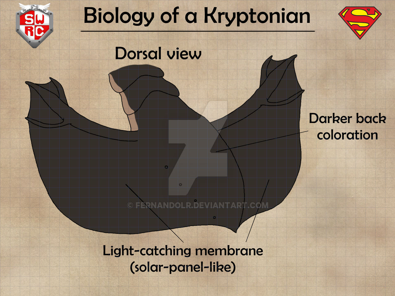 Biology of a Kryptonian II - Light Capture by FernandoLR on DeviantArt