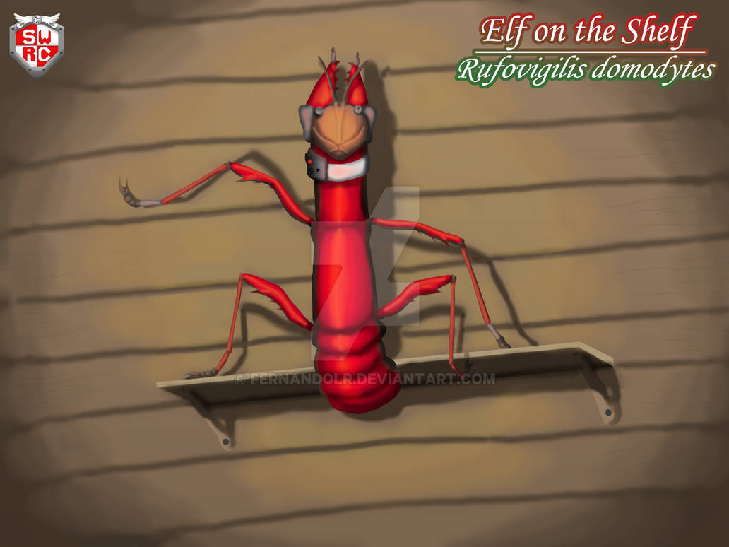 Elf Spectre Spec Evo Elf on the Shelf! by FernandoLR on DeviantArt