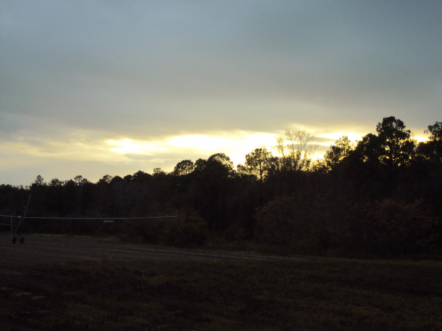 Sky Before a Storm