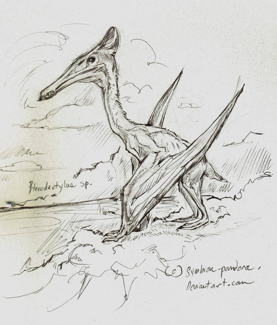 Pterodactylus request series 1 by symbion-pandora