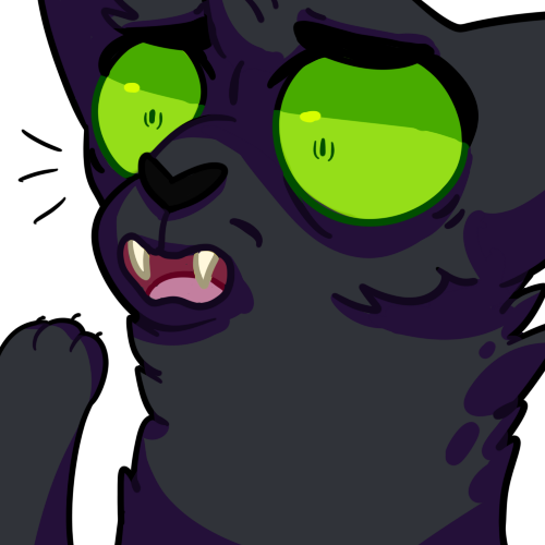 Ravenpaw