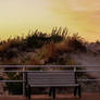 Bench on the Boardwalk