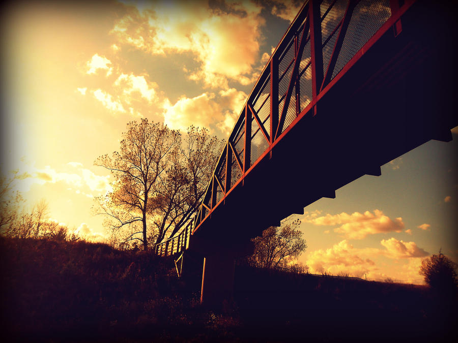 Under The Bridge