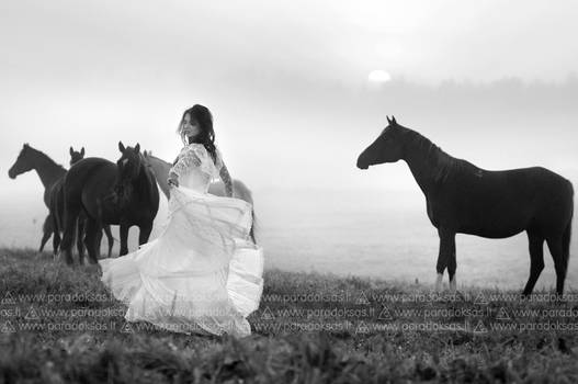 Dance with horses