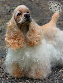 Needle Felted Spaniel