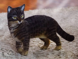 Needle Felted Cat