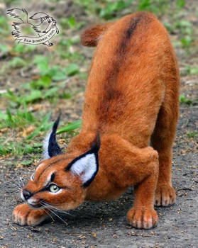 Needle Felted Caracal