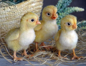 Needle Felted Chickens