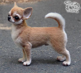 Needle felted Chihuahua