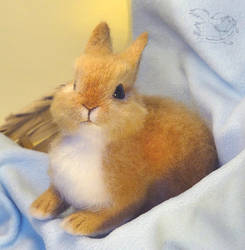 Needle Felted Rabbit / Bunny