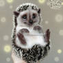 Needle Felted Hedgehog